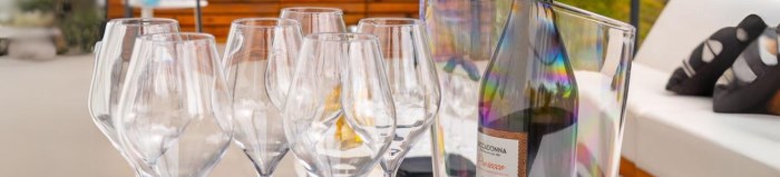 Peut-on boire du vin avec un verre en plastique ? – Sparklers Club