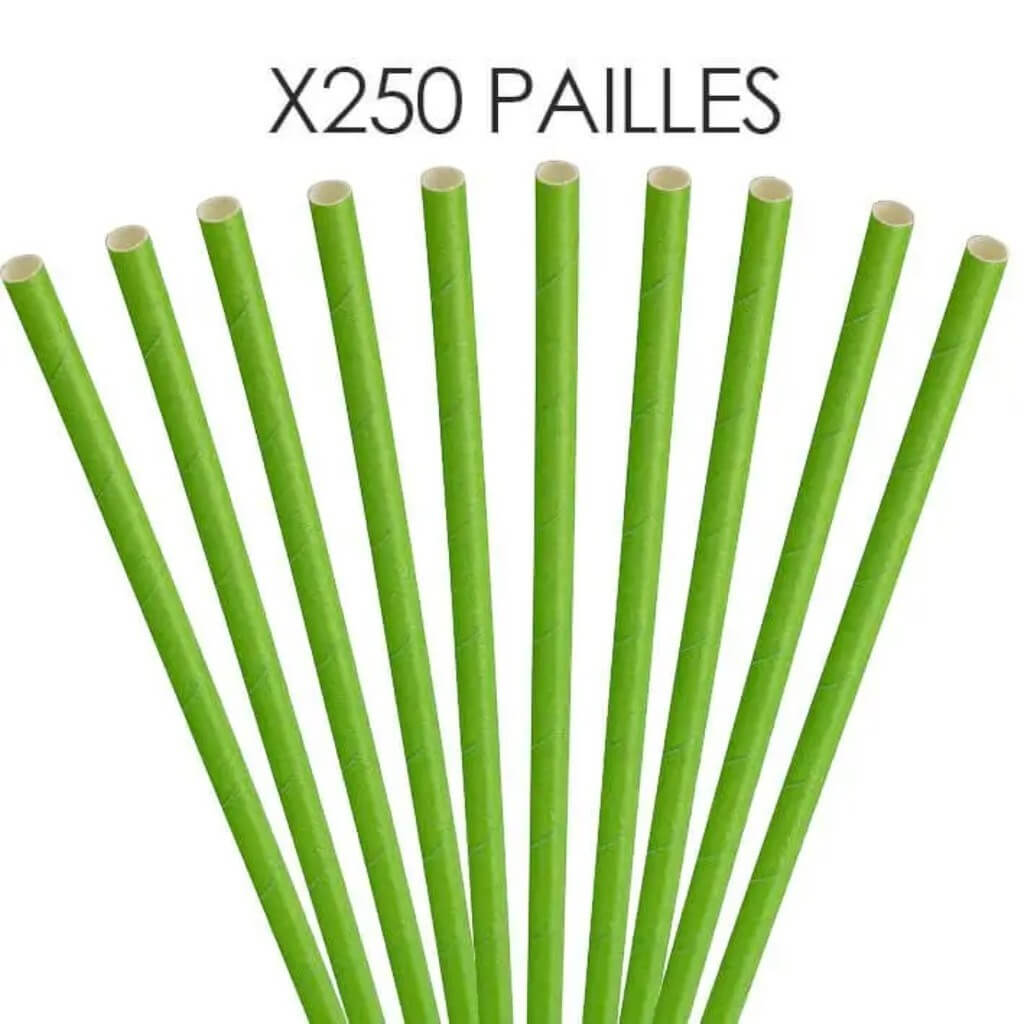 Paille papier verte 20cm /ø6mm (250 pcs)