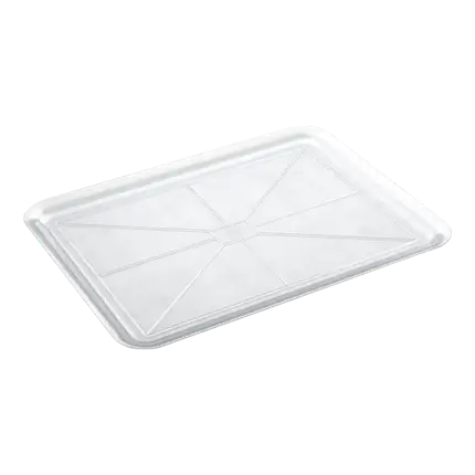 Plateau en plastique transparent rectangulaire 50x37cm