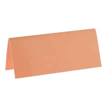 Marque-place rectangle Corail - Lot de 10