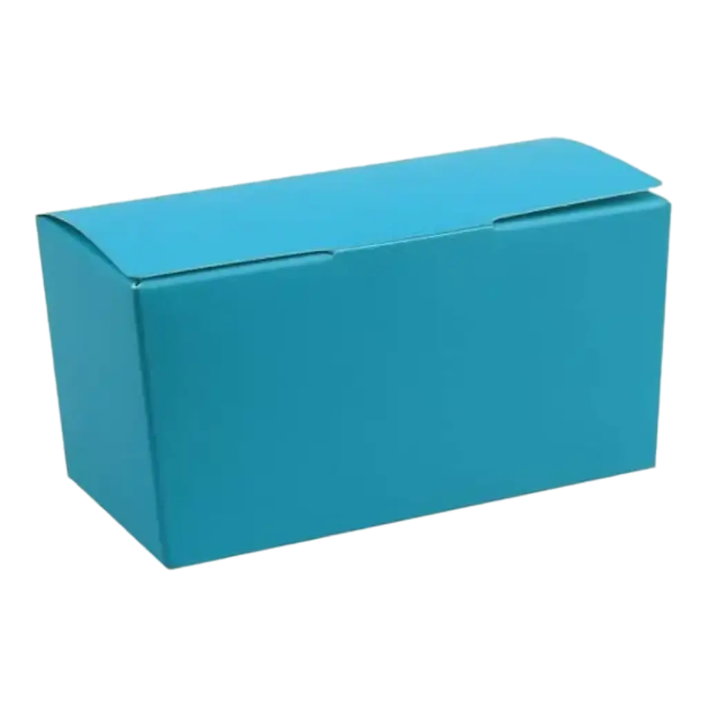 Ballotin uni Turquoise 50g - Lot de 25