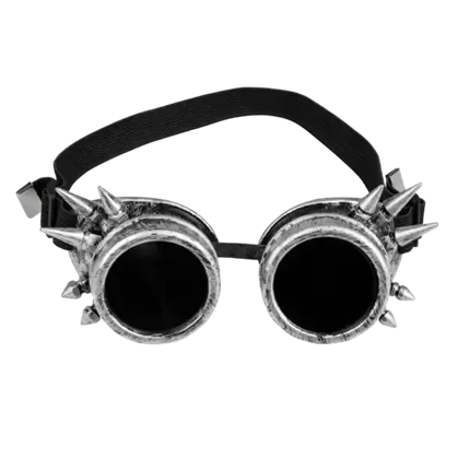 Lunettes Steampunk argentées