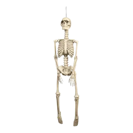 Squelette Suspendu 92cm pour Décoration Halloween