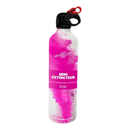 Mini Extincteur à poudre Holi - Rose