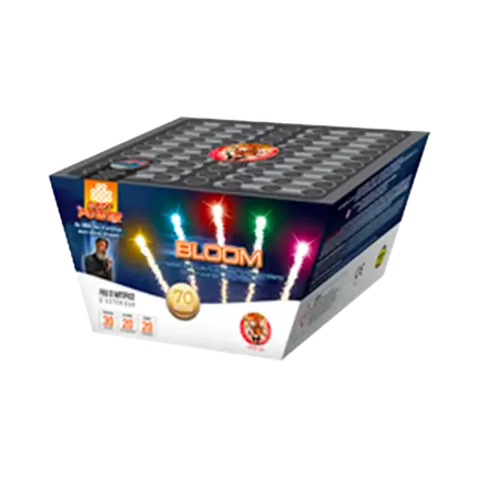 Feu d'artifice COMPACT BLOOM - 20s