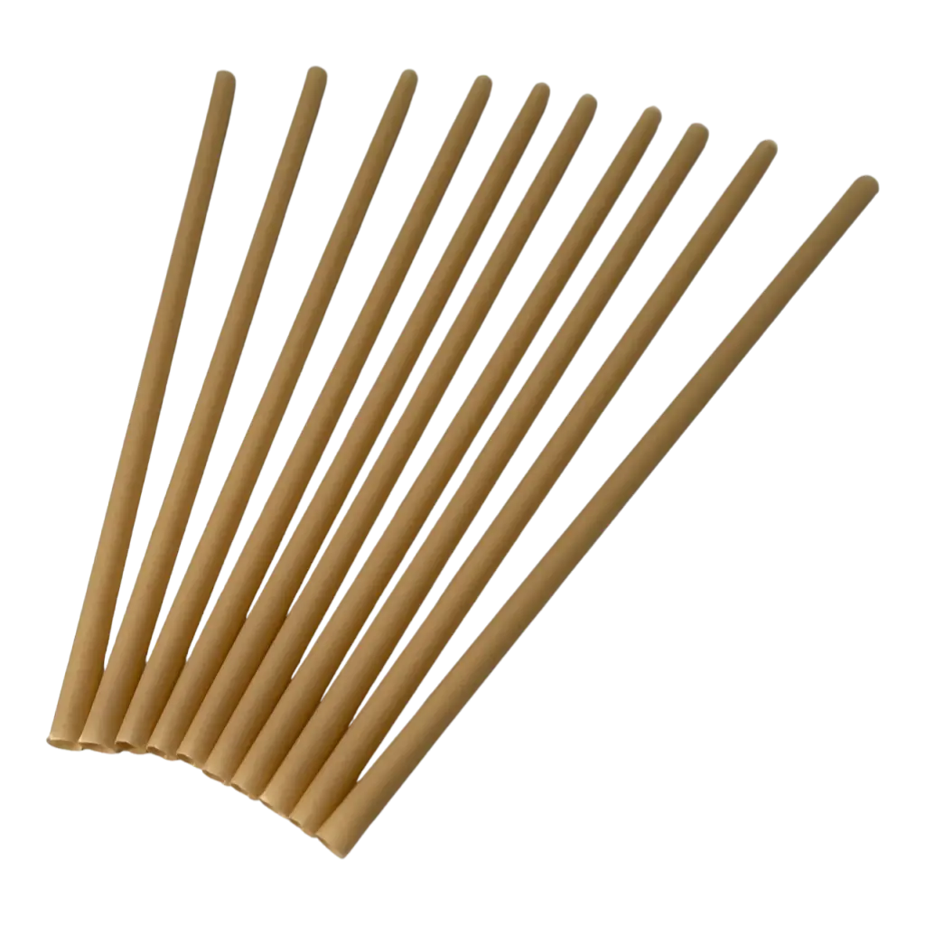 Paille Biodégradable en Fibre Végétale ø6x200mm (Lot de 250)