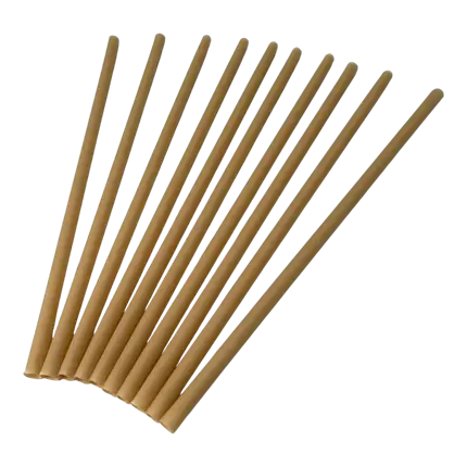 Paille Biodégradable en Fibre Végétale ø6x200mm (Lot de 250)