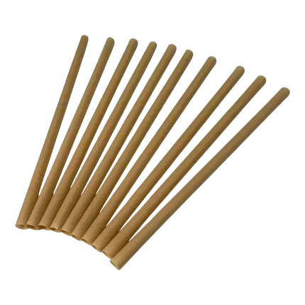 Paille Biodégradable en Fibre Végétale ø8x200mm (Lot de 125)