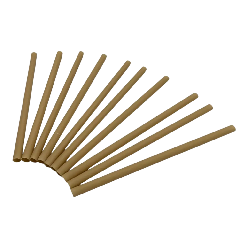 Paille Biodégradable en Fibre Végétale (Lot de 250) - 6x140mm