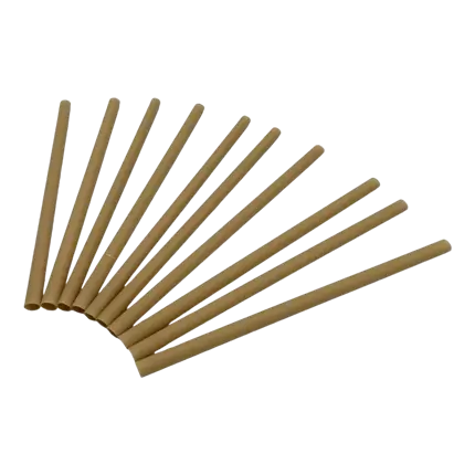 Paille Biodégradable en Fibre Végétale (Lot de 250) - 6x140mm